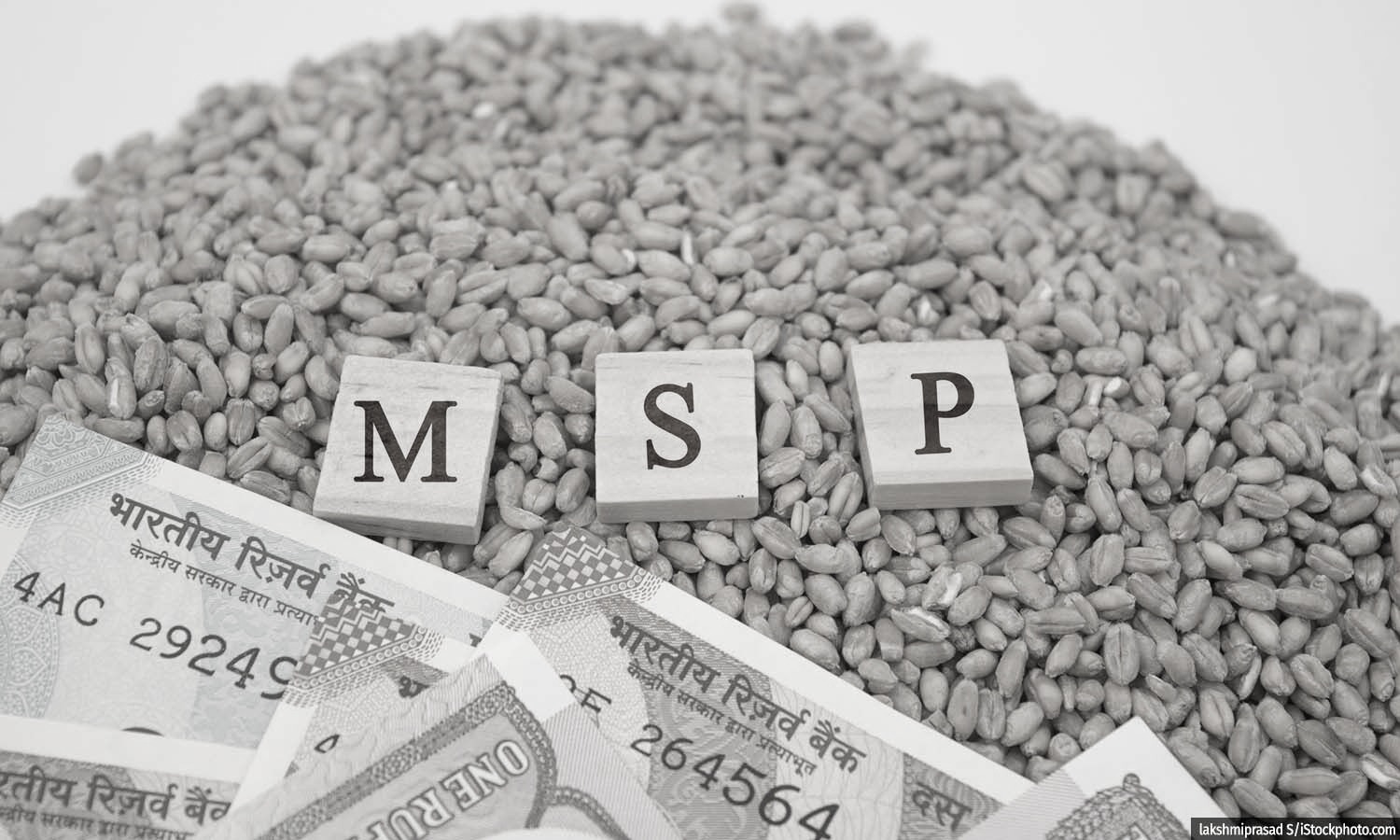 Centre declares annual hike for Rabi crops, wheat MSP nearly doubled in 10 years