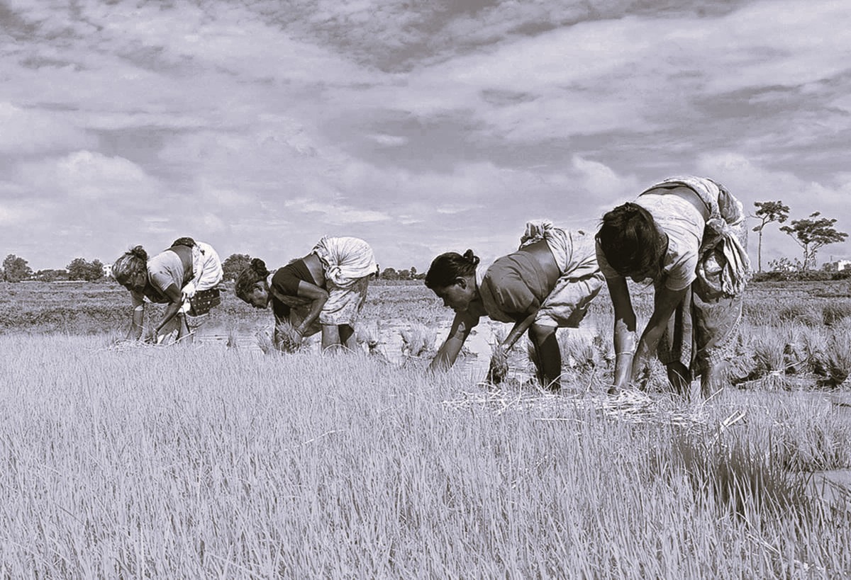 Andhra Pradesh extends E-Crop survey deadline - Comprehensive farmer aid in Kharif 2025