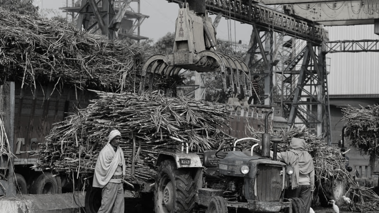 15 sugar mills to get NCDC funding for fuel, fertiliser units