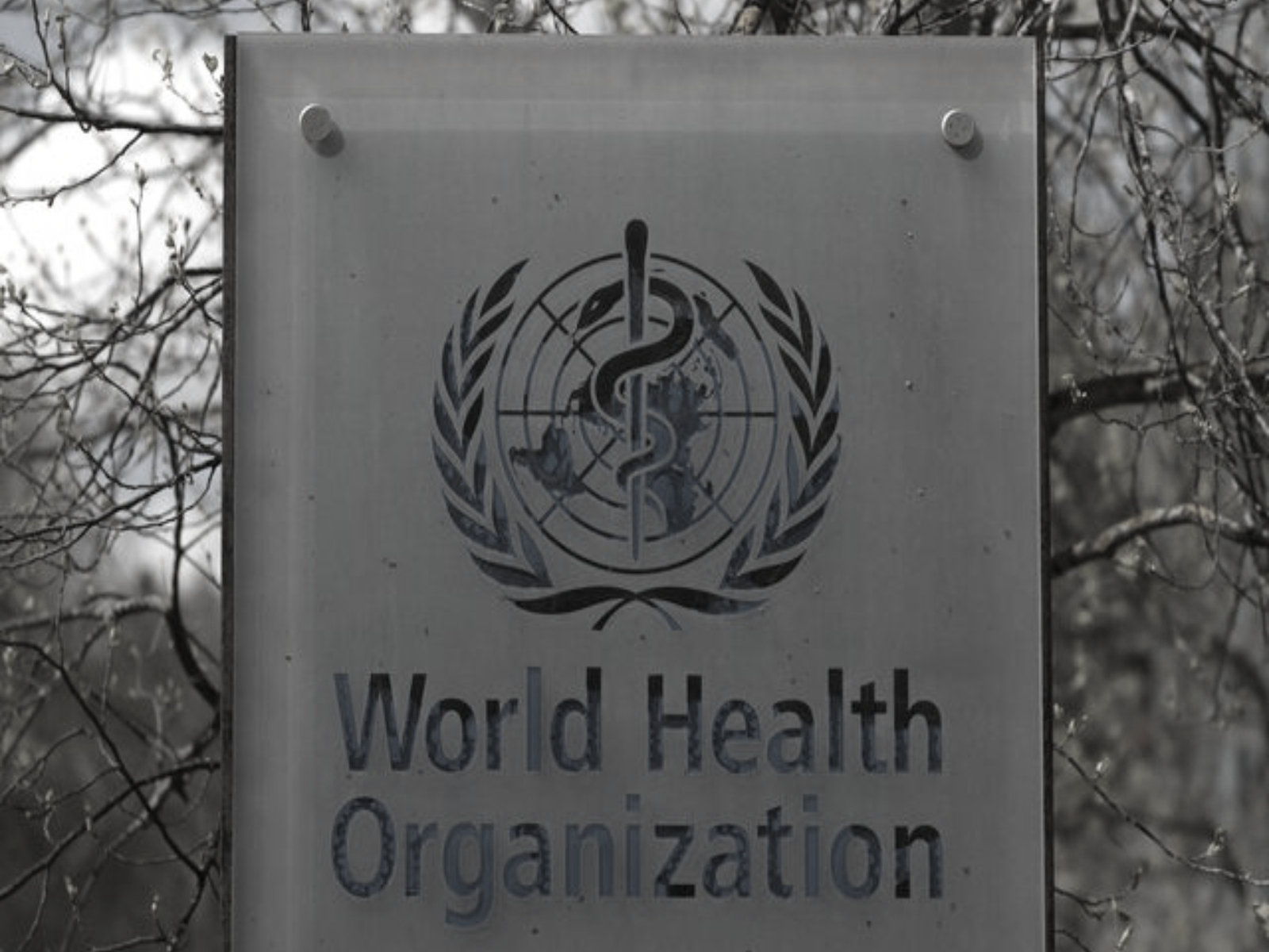 WHO warns against 3 India made cough syrups after child deaths