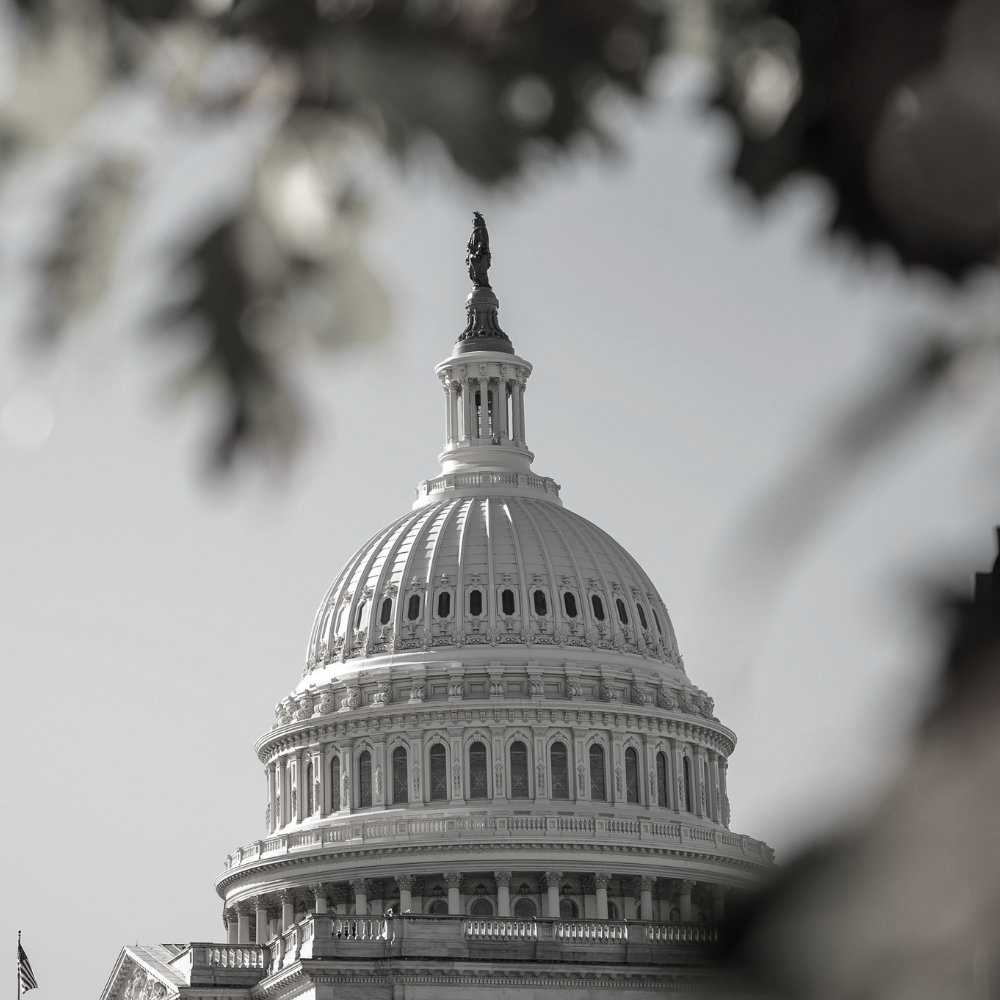 US Senate blocks measure to pay federal workers