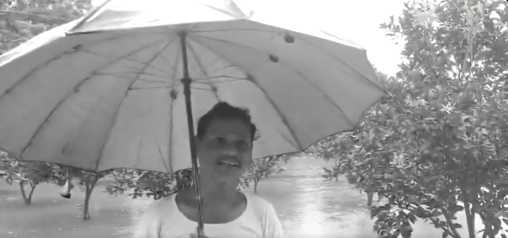 Heavy rains flood farmlands in Kadapa; Farmers seek relief