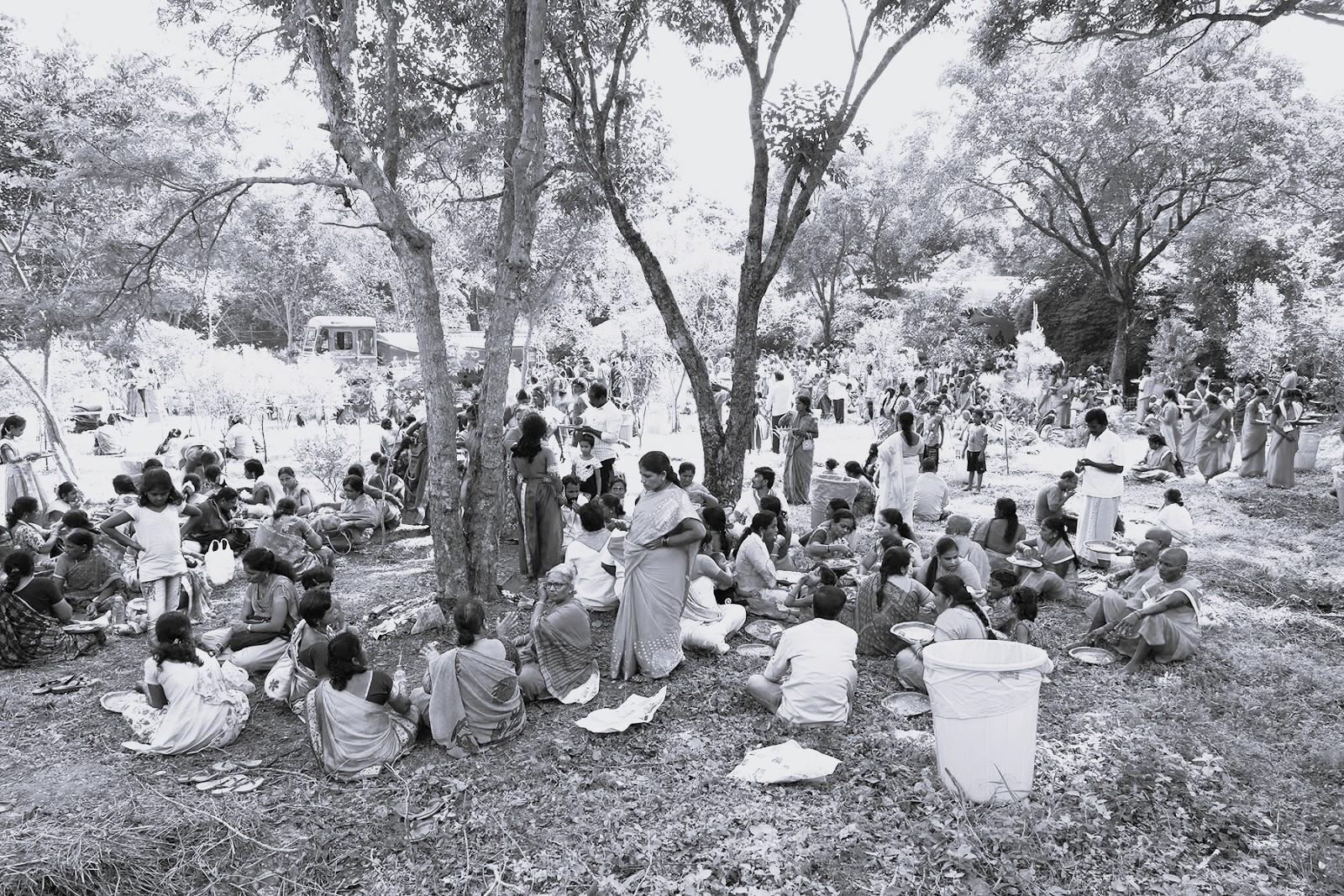 Feasting under the Amla tree - The sacred harmony of Faith, Nature, and Health in Karthika Masam