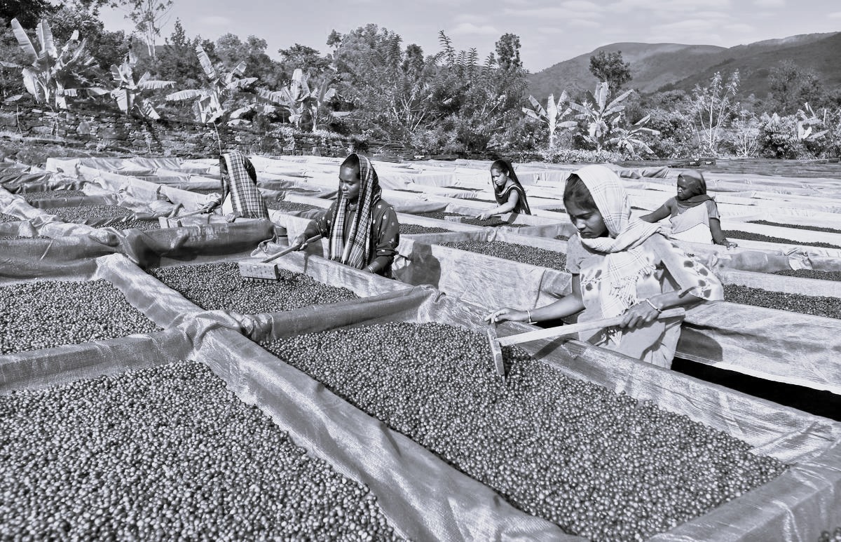 Araku coffee in spotlight after PM Modi’s praise for Indian brews in ‘Mann Ki Baat’