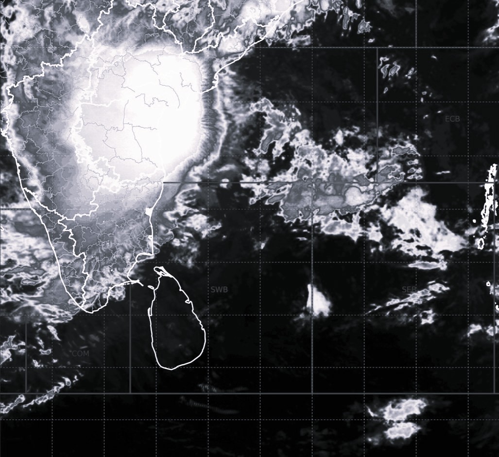 Cyclone ‘Montha’ devastates crops across Andhra - one dead, 1.76 lakh hectares damaged