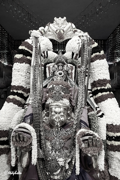 Kartika Pournami Garuda Seva to be held at Tirumala today
