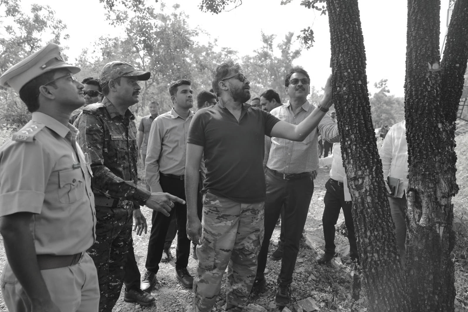 Forest department told to ensure live tracking of Red sanders stocks