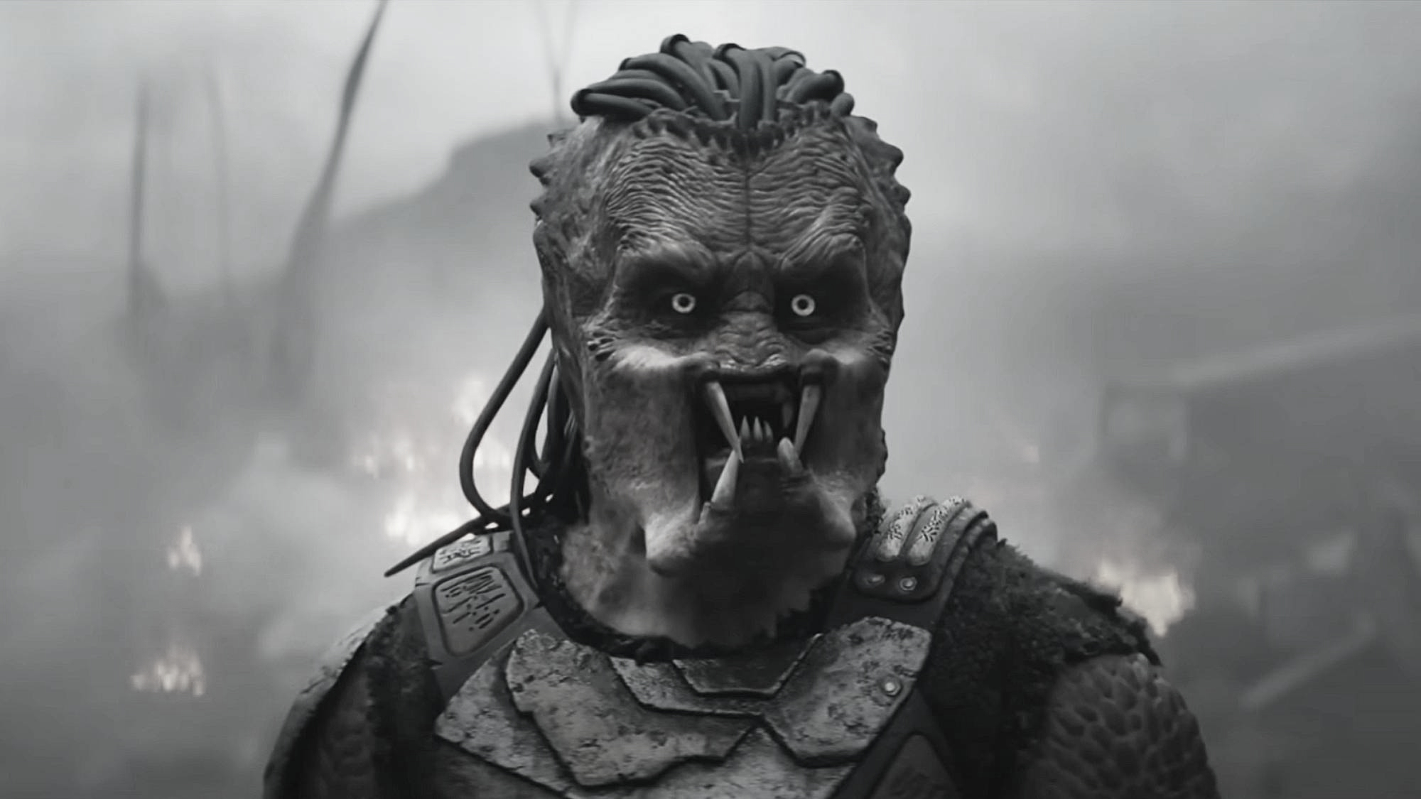 Dhanush calls ‘Predator: Badlands’ a Perfect tribute to OG Fans