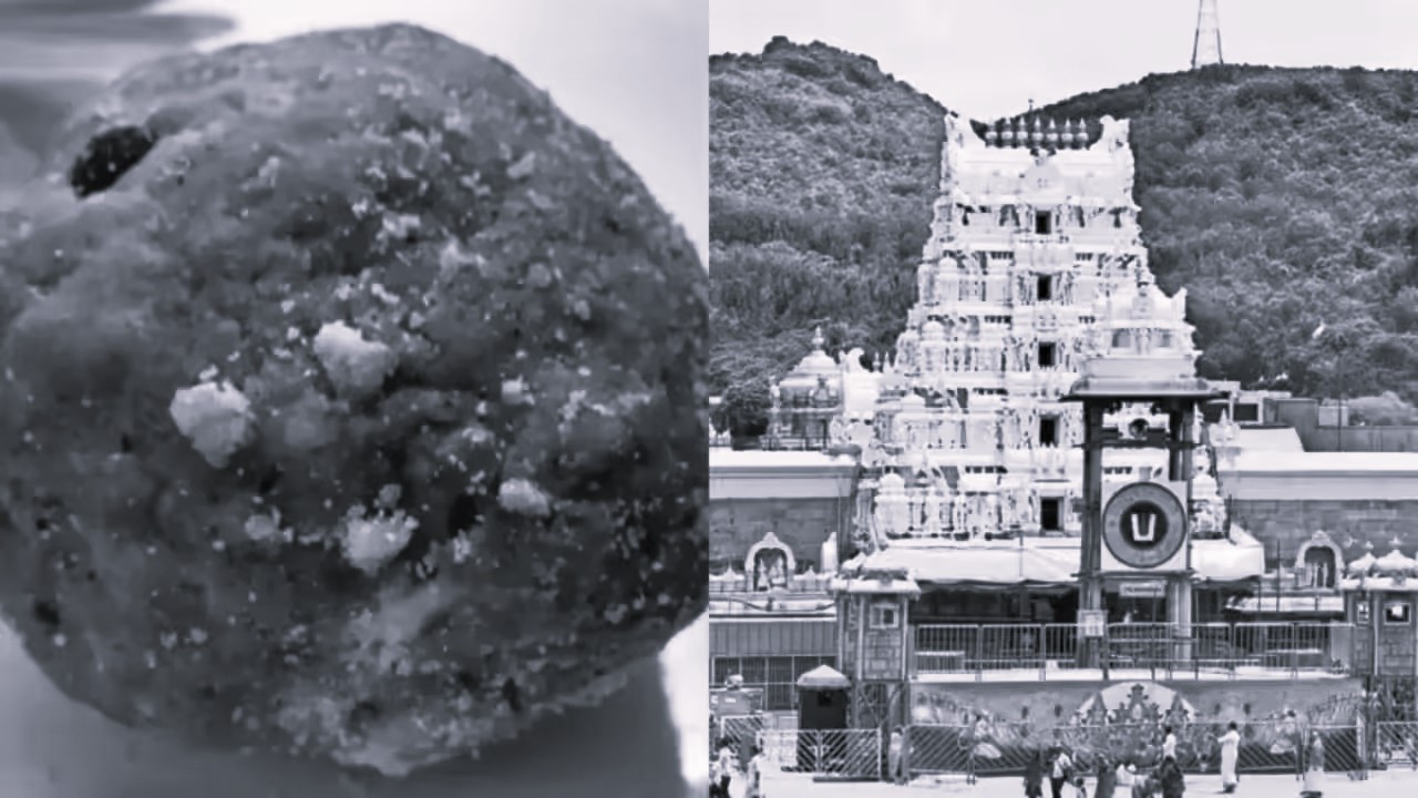 తిరుమల లడ్డు తయారీకి కల్తీ నెయ్యి!