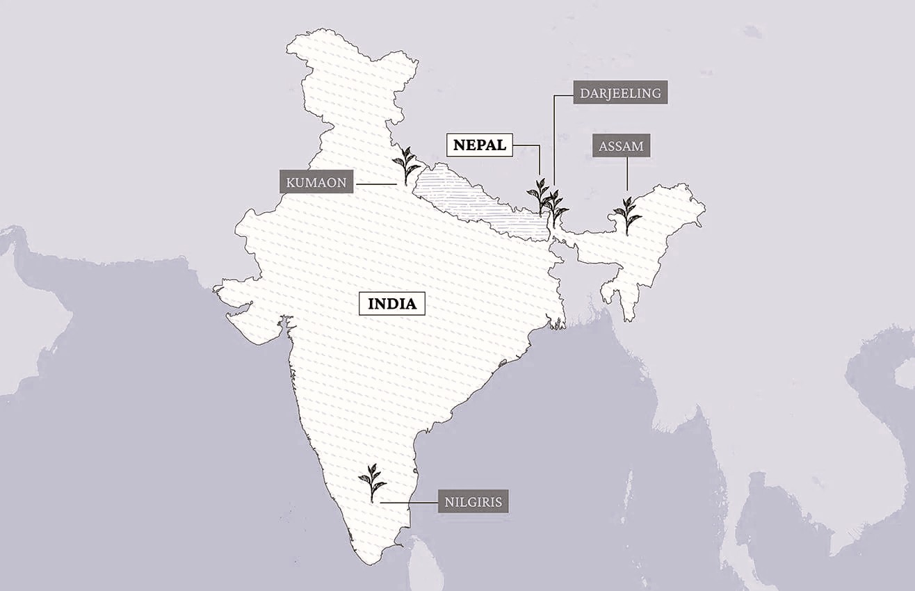 Brewing 2047: Can Indian Tea go from Chai glass to Global luxury?