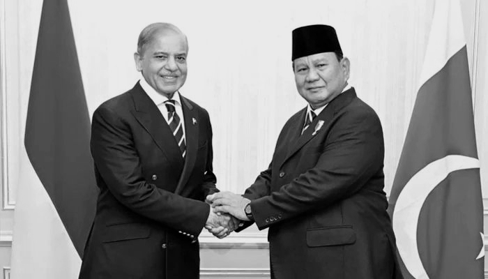Pakistan, Indonesia sign seven agreements to deepen bilateral cooperation