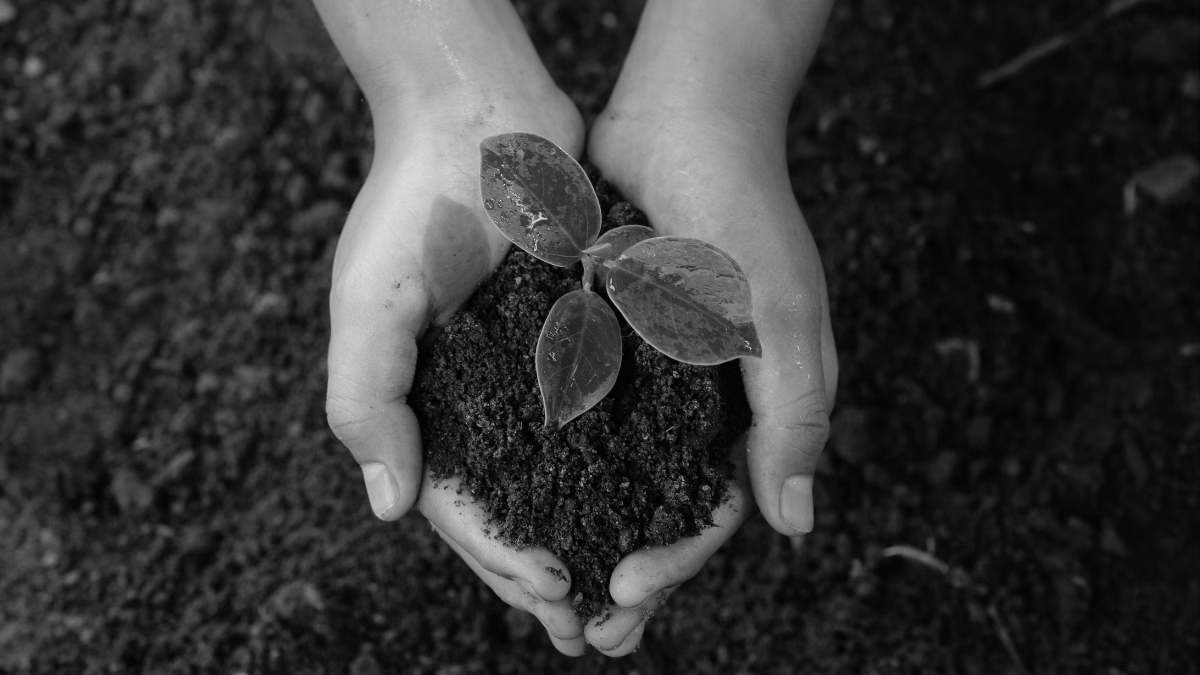 Low-Cost Sensors, Big Impact: Rethinking Soil Health Management in India