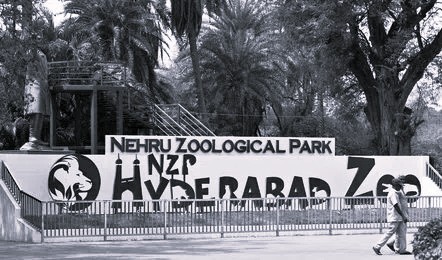 A World of Wonders in the Lap of Nature: Nehru Zoological Park