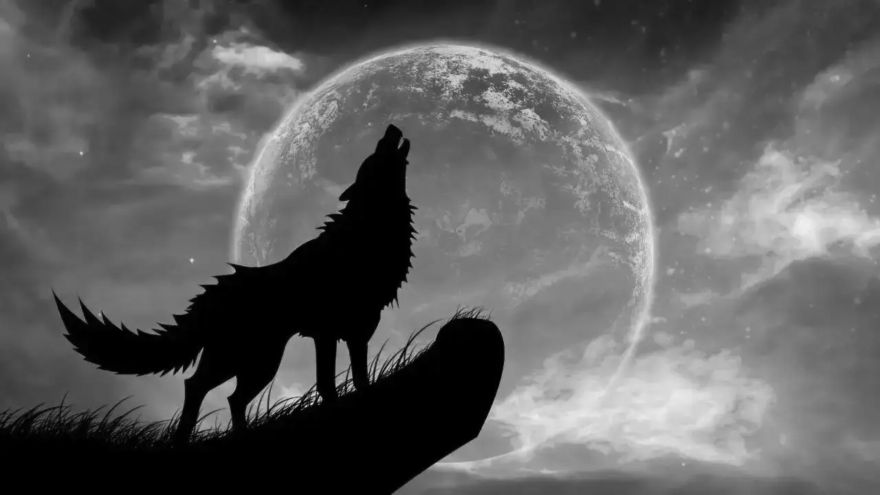 Wolf Moon lights up Hyderabad skies in spectacular supermoon display