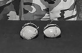 Srinagar police nab suspected drug peddler, 1.6 kg heroin seized