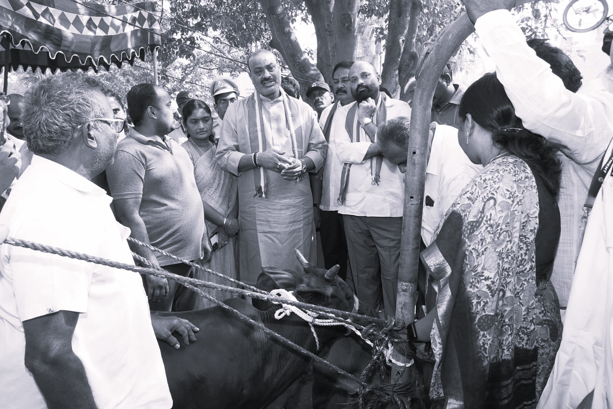 Free Animal Health Camps Roll Out Across Andhra Pradesh
