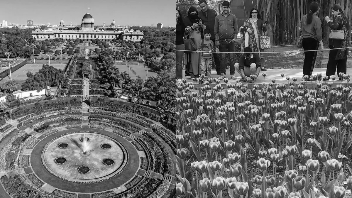 Rashtrapati Bhavan’s Amrit Udyan to open for public from February 3