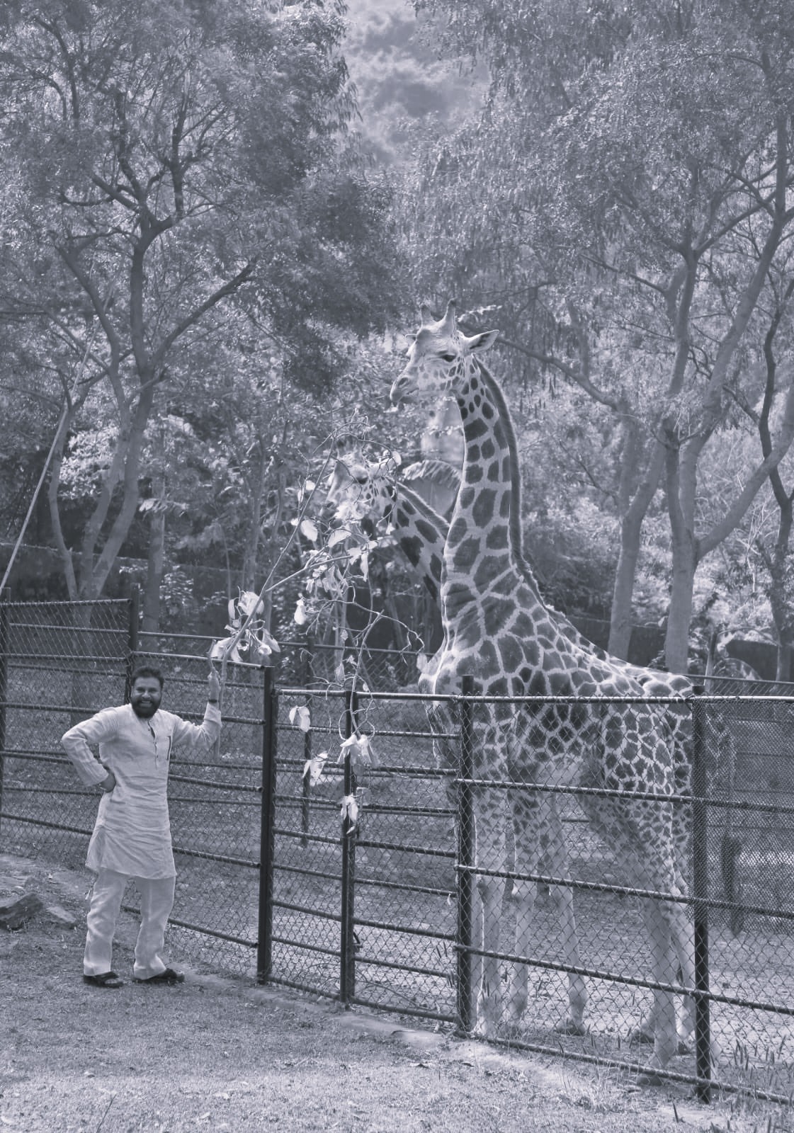 Pawan Kalyan Adopts Two Giraffes at Visakhapatnam Zoo