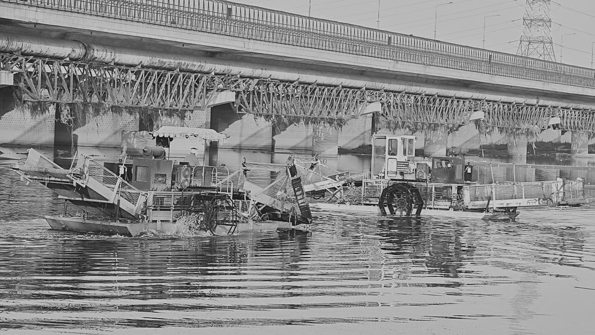 Delhi boosts sewage treatment capacity by 100 MGD in nine months to clean Yamuna