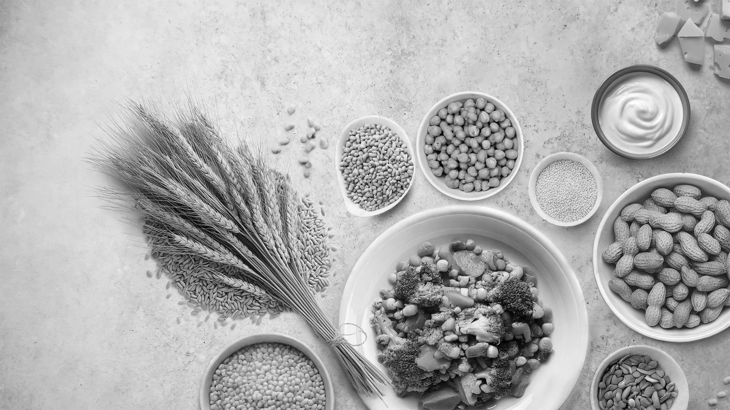 Can Protein Be Ethical? Sustainability and Transparency Reshape the Nutrition Debate