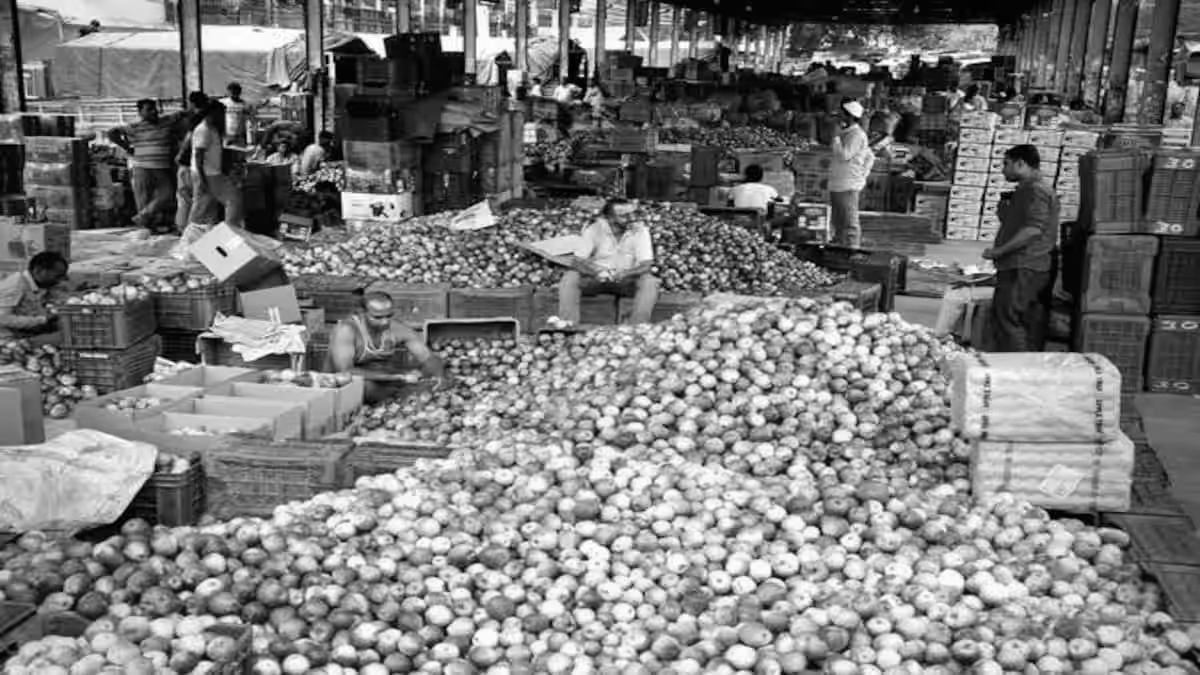 Himachal apple farmers sound alarm, plan protest over India-US trade deal on Feb 12