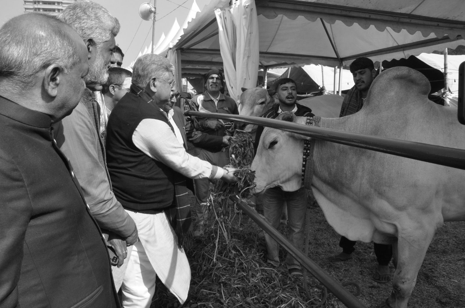 Haryana takes the lead in milk production, says Union Minister Rajiv Ranjan