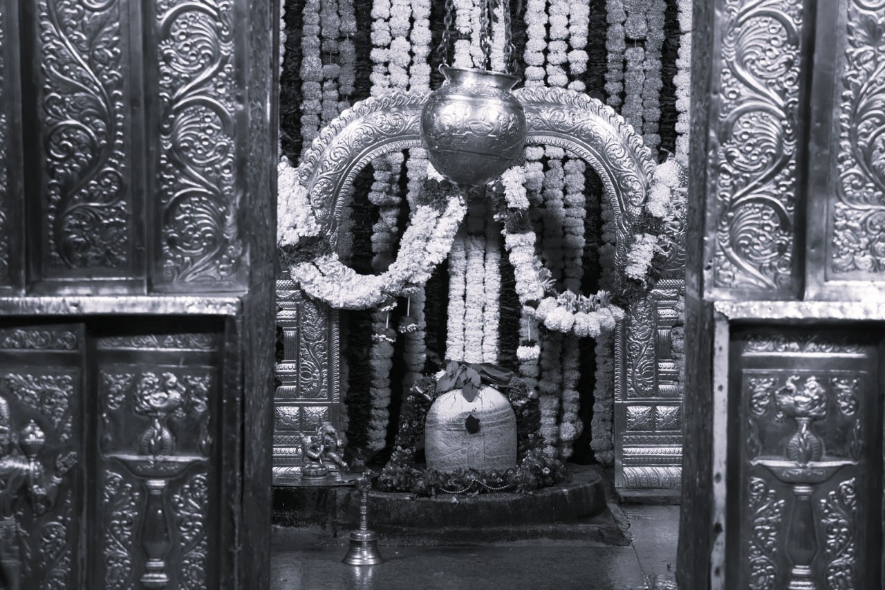 తెలుగు రాష్ట్రాల్లో ఘనంగా మహాశివరాత్రి వేడుకలు