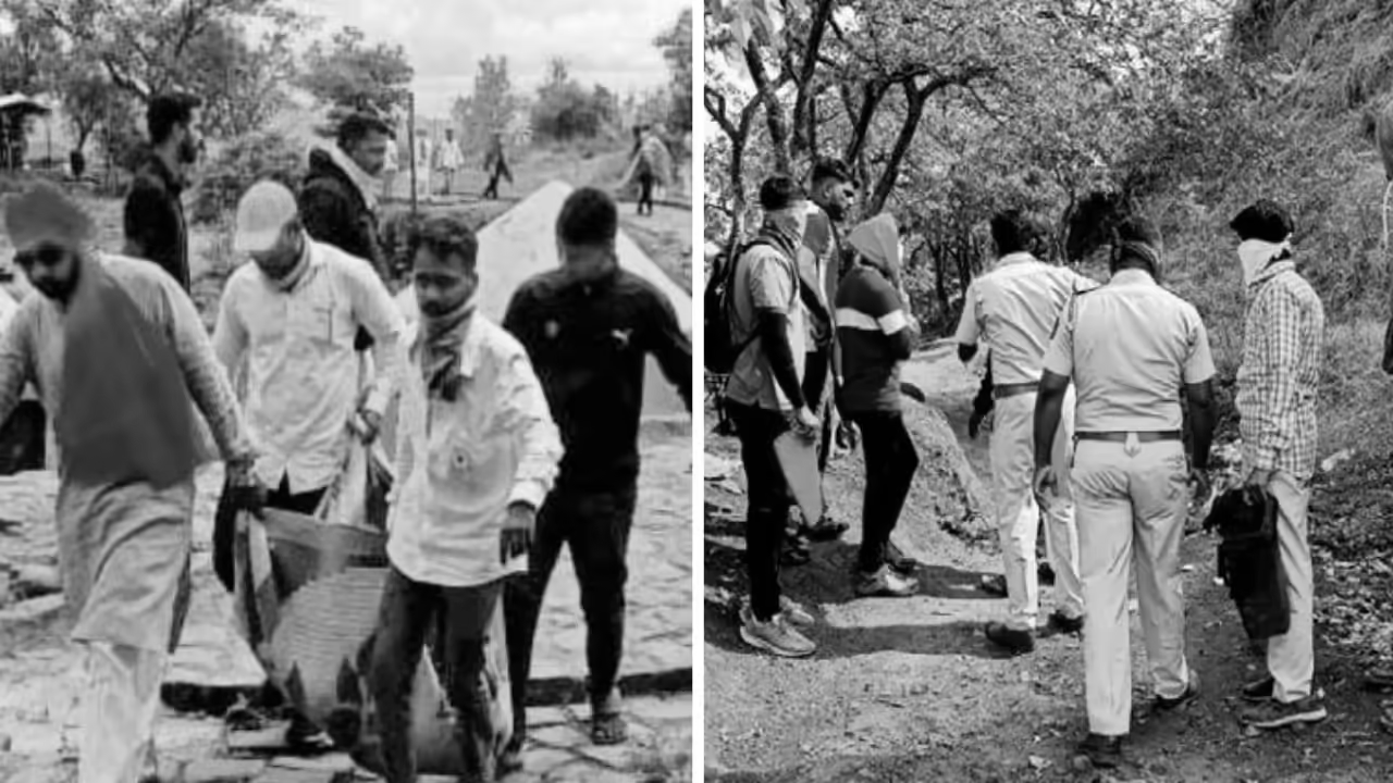 Bee swarm attack at Sinhagad fort injures several tourists, Toddler among victims