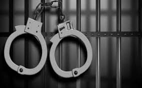 Afghan national arrested in Bengal for illegal border entry