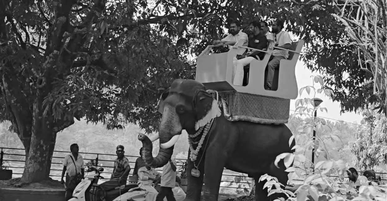 Kerala Wins PETA Honour for Replacing Elephant Rides with Mechanical Safari