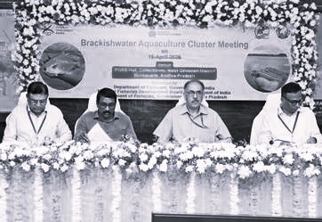 మత్స్య రంగాభివృద్ధికి కేంద్రం కార్యాచరణ… భీమవరం క్లస్టర్పై ప్రత్యేక దృష్టి