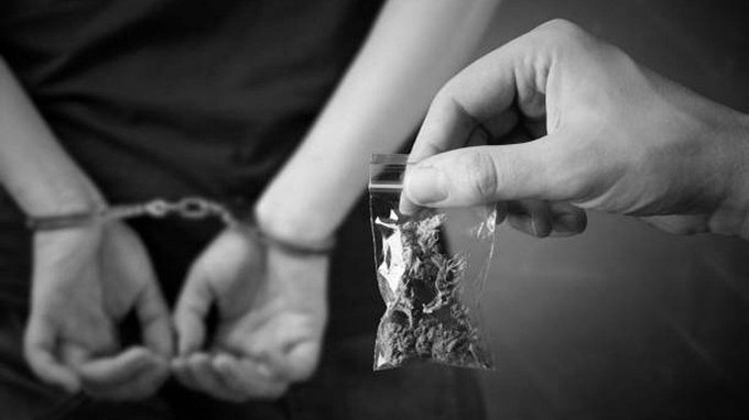 ₹21.5 Cr Hydroponic Ganja Seized at Bengaluru Airport, Four Passengers Arrested