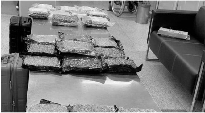 Two Bangkok Passengers Held at Delhi Airport With Hydroponic Weed Worth Rs 34.93 Crore