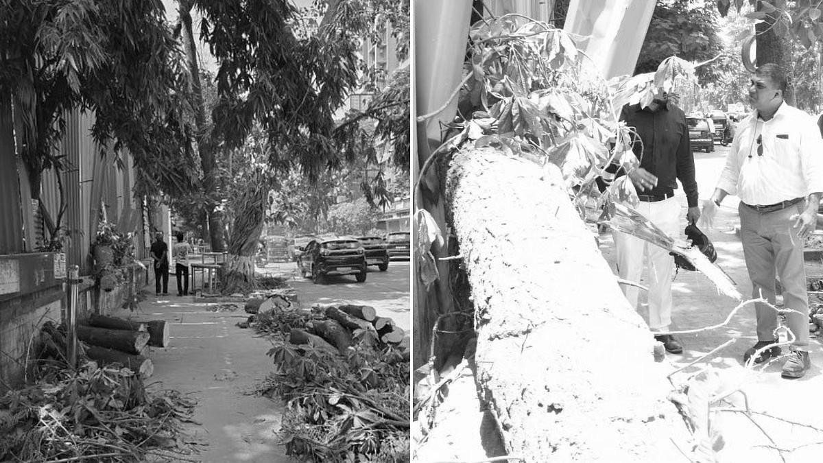 Two Women on Ventilator After Trees Collapse Onto Auto-Rickshaw Near Mumbai Construction Site