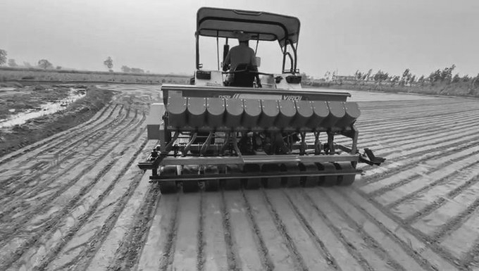 Punjab Targets 5 Lakh Acres Under Water-Saving DSR Paddy Technique