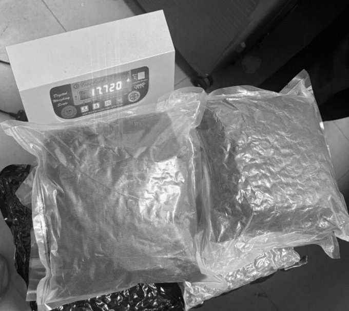 Delhi Customs Seize 17.7 Kg Hydroponic Weed at IGI Airport, Probe Smuggling Link