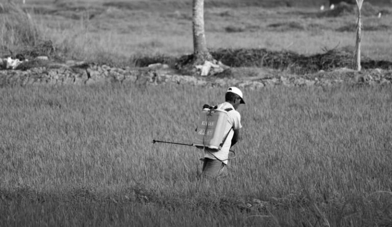 TN BJP Chief Urges Centre to Promote Organic Fertilisers, Cut Chemical Use