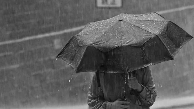 Monsoon Gains Strength in Karnataka as IMD Issues Red Alerts, Signals Further Advance Towards Andhra Pradesh
