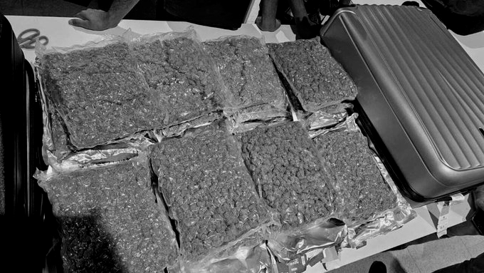 Hydroponic Cannabis Worth ₹1.42 Crore Seized at Delhi Airport, Probe Launched