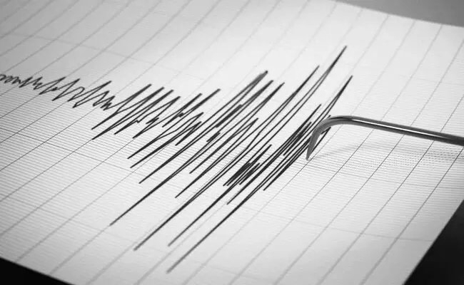 4.7-Magnitude Earthquake Jolts Assam’s Cachar, Tremors Felt Across Northeast