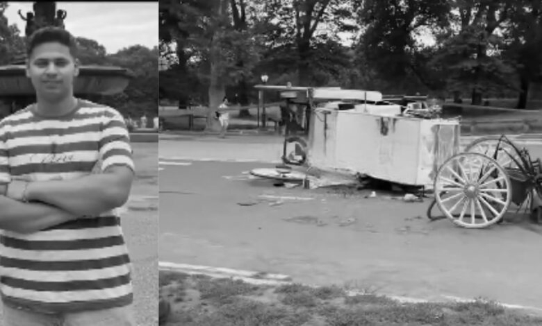 Indian Teen Dies Saving Mother After Runaway Horse Carriage Crash in New York