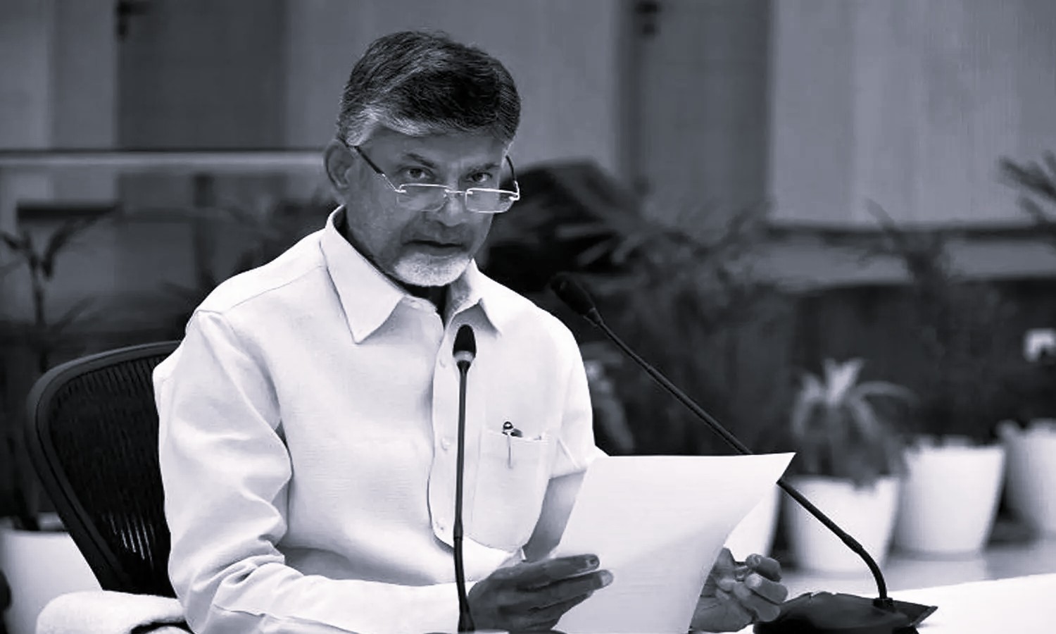 CM Chandrababu Urges Centre To Support Totapuri Mango Farmers Amid Price Crash