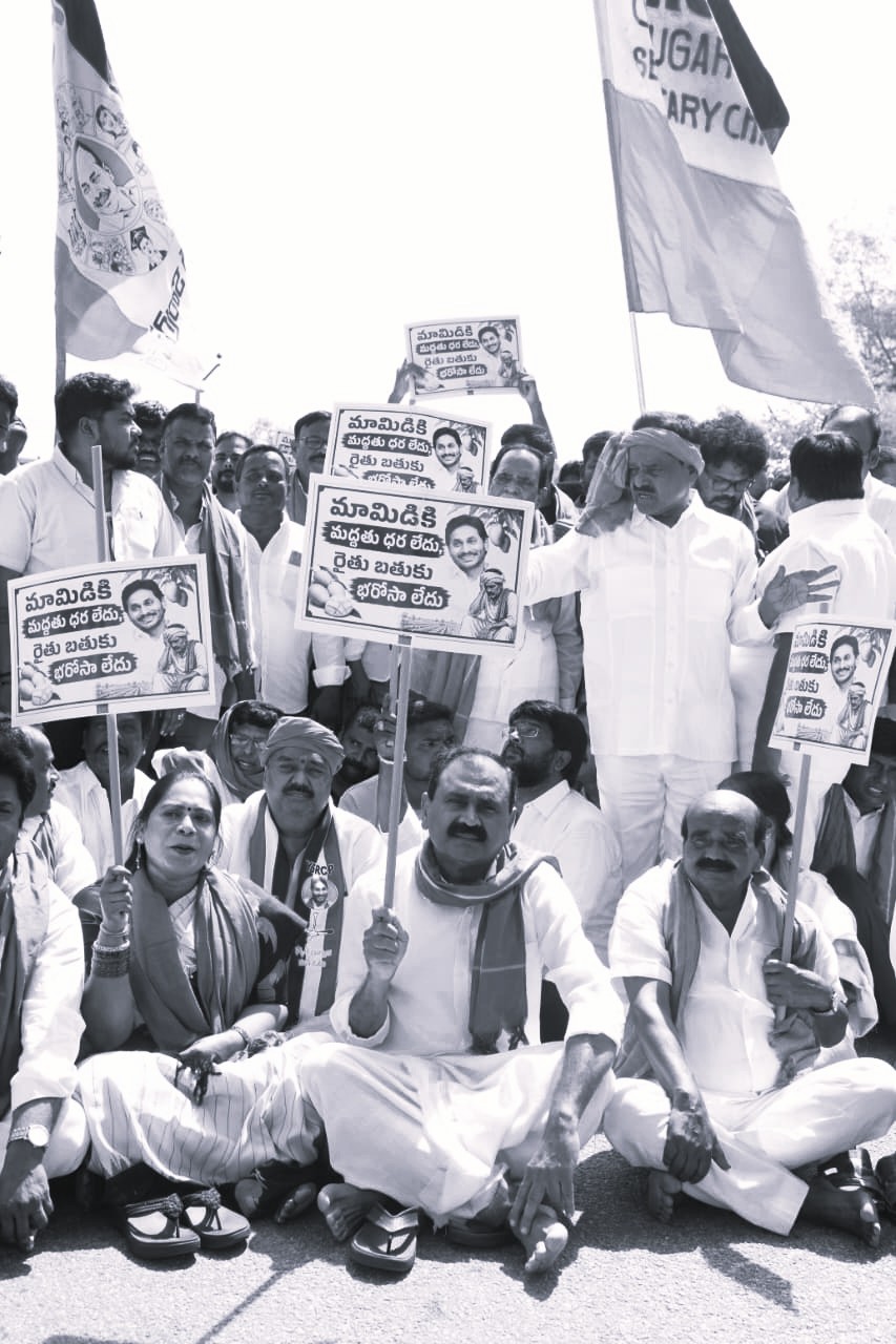 YSRCP Rallies Behind Mango Farmers, Demands Price Support