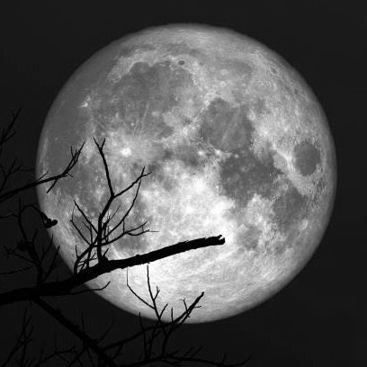 Strawberry Moon Dazzles Skies Worldwide, Lighting Up Famous Landmarks From New York To Delhi
