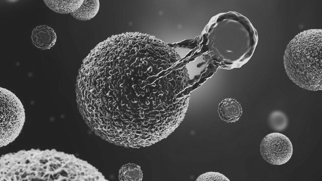 IIIT-Delhi Scientist Harnesses AI to Advance Early Cancer Detection
