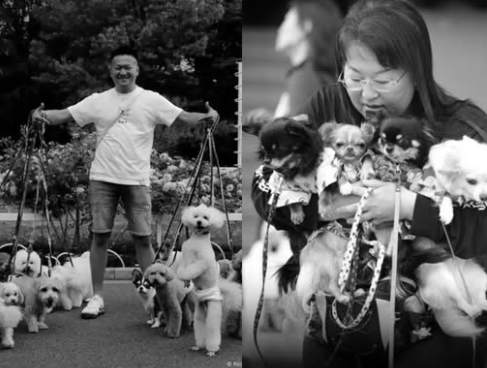 Japan Now Has 2 Million More Pets Than Children as Demographic Crisis Deepens