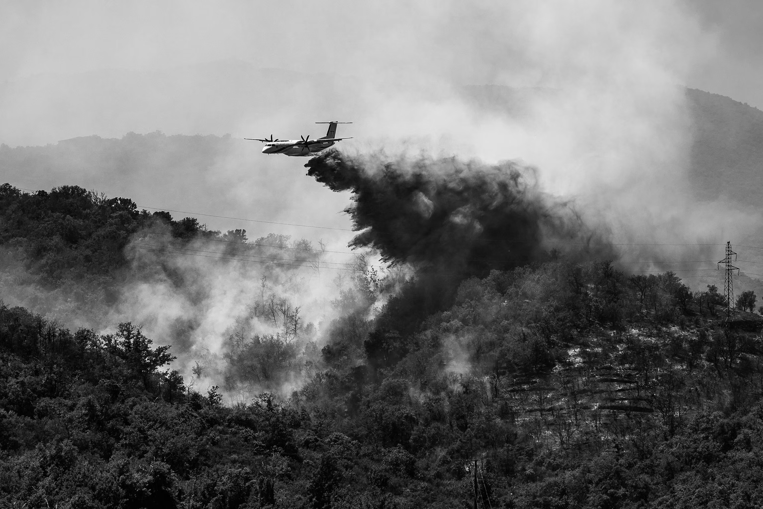800 Hectares In Flames: Massive Wildfire Near Paris Forces Evacuations And Travel Chaos