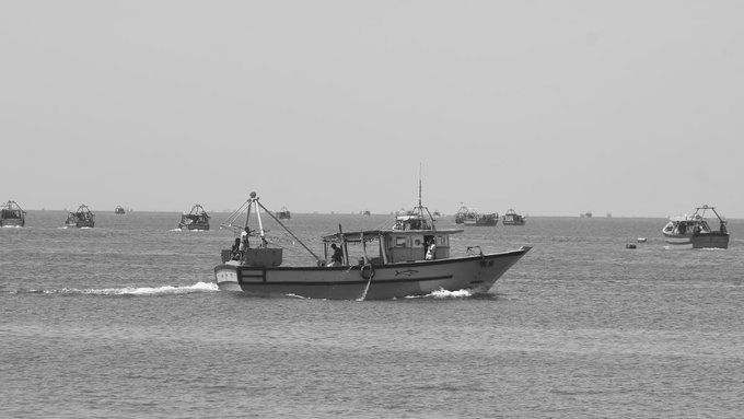 Bay of Bengal Tragedy: Nine Fishermen Found Dead, Six Yet to Be Traced
