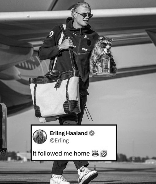 Erling Haaland Returns Home With a Whiskey Raccoon, Internet Goes Wild