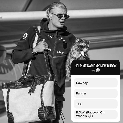 Erling Haaland Returns Home With a Whiskey Raccoon, Internet Goes Wild
